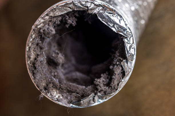Best HVAC Duct Inspection Services  in Libertyvle, IL